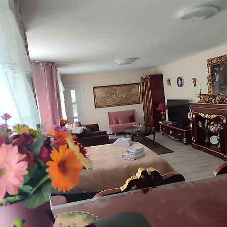 Gite Luxury A Soultzeren エクステリア 写真